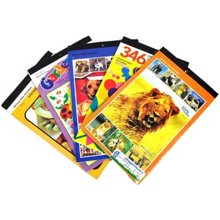 Miks Paket Slikovnica s Naljepnicama (108 kom.)