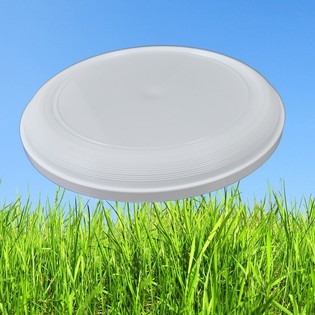 STANDARDNI FRISBEE 21 CM (25 kom.)