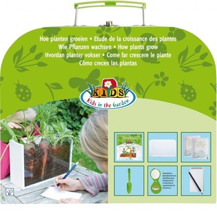 ***BESTSELLER*** OUTDOOR KOVČEG KAKO RASTU BILJKE